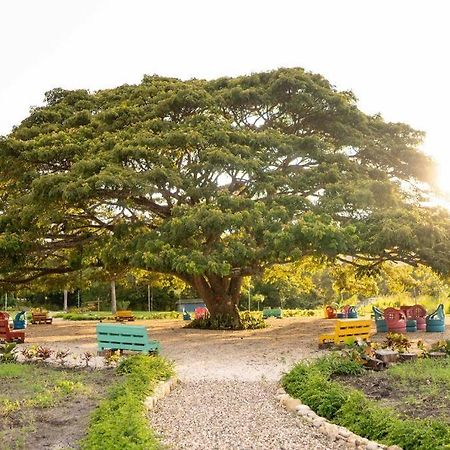 Hacienda La Huerta, Puerto Plata Villa Exteriör bild