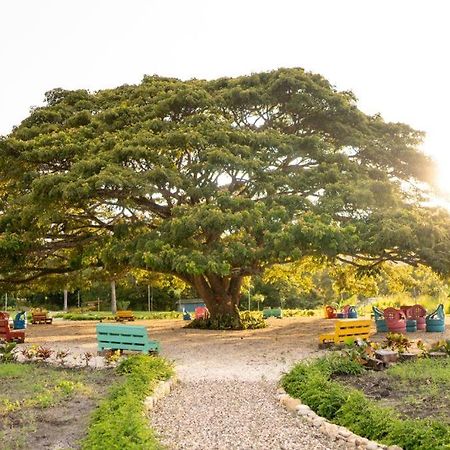 Hacienda La Huerta, Puerto Plata Villa Exteriör bild
