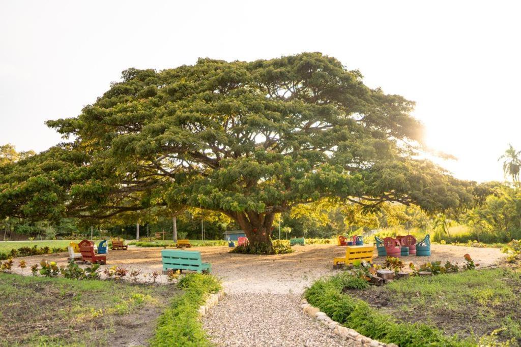 Hacienda La Huerta, Puerto Plata Villa Exteriör bild